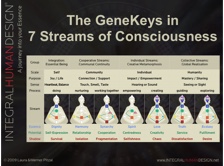 The GeneKeys in 7 Streams of Consciousness
